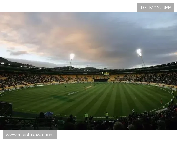 凯发娱乐体育：打造专业化体育娱乐体验的创新服务方案